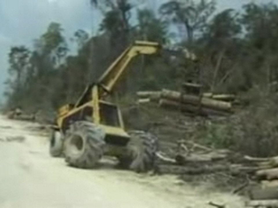 Pygz clima tek tribe