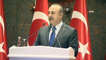 Dışişleri Bakanı Mevlüt Çavuşoğlu:  'Rejimin saldırganlığı ve arsızlığı artıyor'