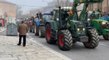 Agricultores y ganaderos se manifiestan en Toledo