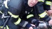 Roumanie : Des pompiers sauvent deux chiens et un chat !