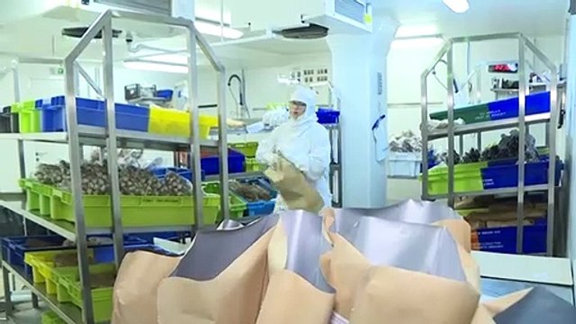 Bien choisir son poisson, un geste efficace contre la surpêche