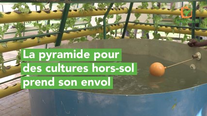 Burkina Faso : La pyramide pour des cultures hors-sol prend son envol