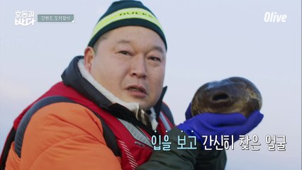 도치 안 먹었던 이유? 못 생겨서..ㅋㅋㅋㅋ 도치에 쫄아버린 강호동