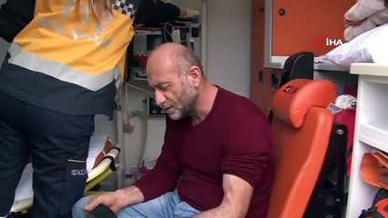 Tır, kaygan yolda zeytinliğe uçtu