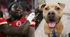 Pour célébrer sa victoire au Super Bowl, un joueur des Kansas City Chiefs a payé les frais d'adoption d'une centaine de chiens