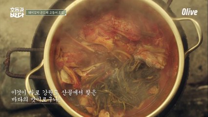 강원도에서 찾은 바다의 맛? 호동이가 반한 ′정선 고등어′ 조림