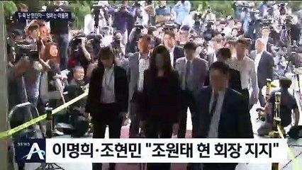 ‘총수일가 경영권 뺏길라’…이명희·조현민 “조원태 지지”