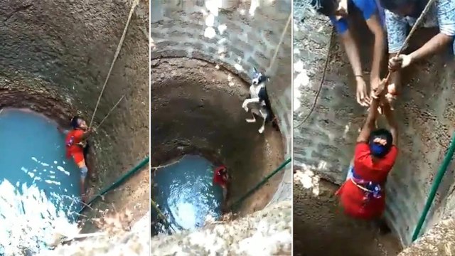 Viral video : Woman Risks Her Life To Save Dog From Well In Mangalore