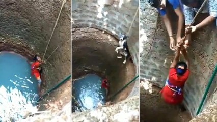 Viral video : Woman Risks Her Life To Save Dog From Well In Mangalore