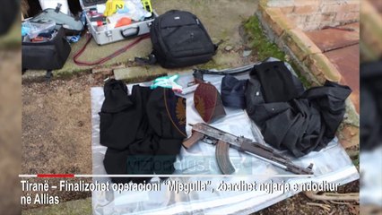 Mjeshtëri i vjedhjeve në kërkim për plagosjen e çiftit Laze në Allias - Vizion Plus