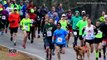Un chien participe sans le vouloir à un marathon et termine 7eme