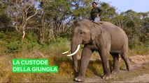Ecco la prima donna fantino di elefanti del Nepal