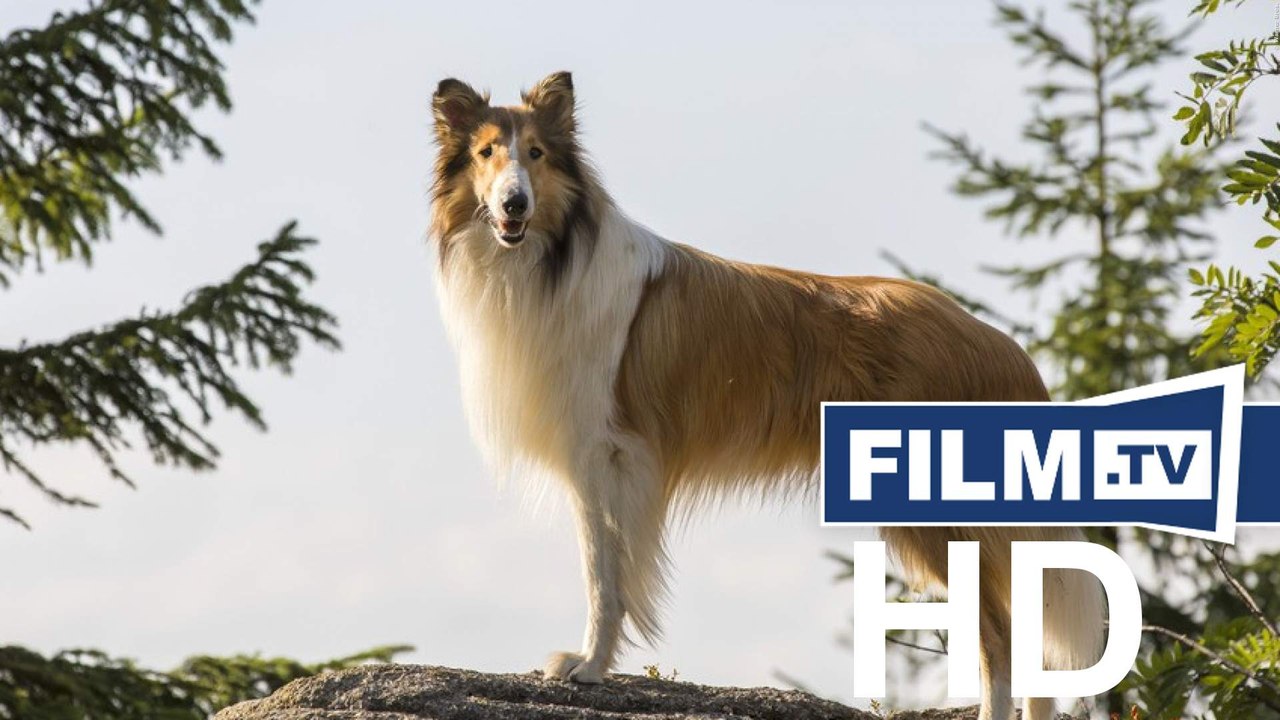 Lassie: eine abenteurliche reise trailer deutsch german (2020)
