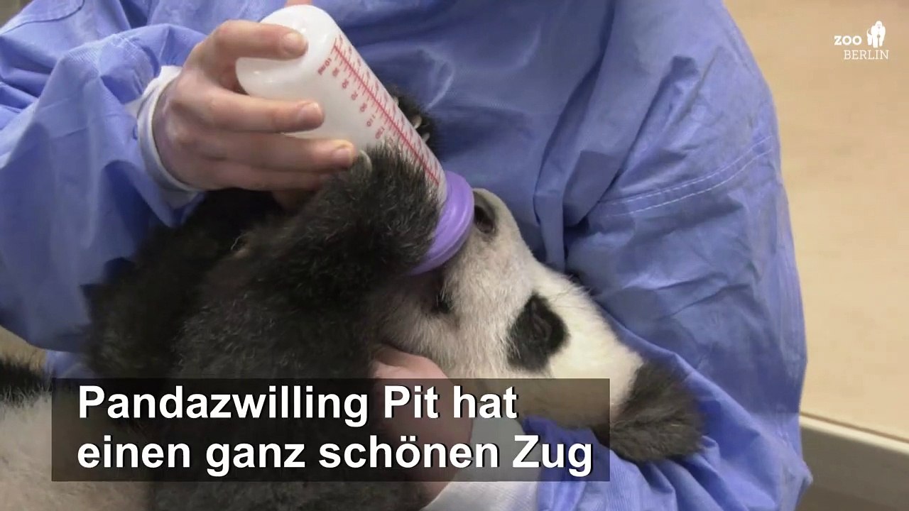 Kleiner Pit will die Flasche selbst halten