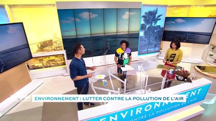 Environnement : Lutter contre la pollution de l'air