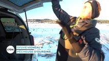 Saint-Pierre-et-Miquelon : La pêche aux oursins