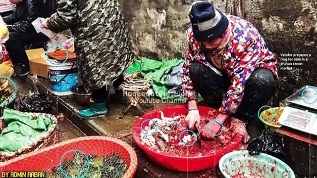 CoronaVirus In China - Maulana Tariq Jameel Byan Related With CoronaVirus