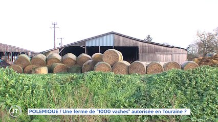 POLEMIQUE Une ferme de "1000 vaches "autorisée en Touraine ?