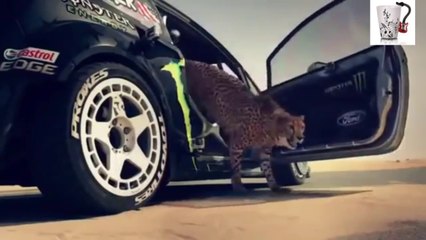 Ya Lili Arabic Turk Song 🎶