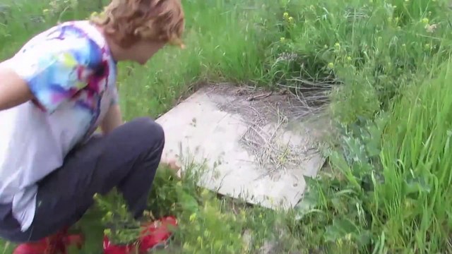 Ce qui se trouve sous cette planche de bois va vous faire frissonner