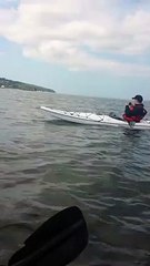 Ces 2 kayakistes vont avoir une sacrée surprise en pleine mer