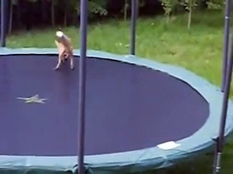 Il aperçoit 2 renards qui sautent sur son Trampoline
