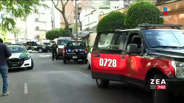 Fuertes vientos generan la caída de 33 árboles en la CDMX