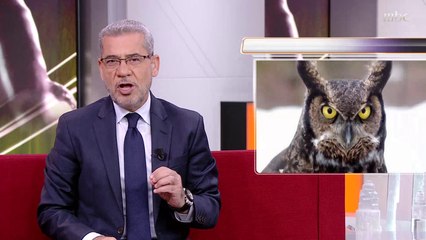 كلمة الآغا: علمونا أشياء وصفات مرعبة عن الحيوانات لكنها فينا نحن البشر