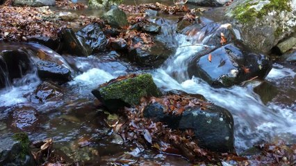 Relaxing Nature Sounds 016【Japan】