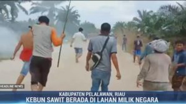 Eksekusi Kebun Sawit di Pelalawan Berlangsung Ricuh