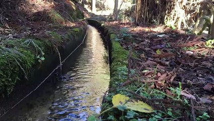 Relaxing Nature Sounds 023【Japan】