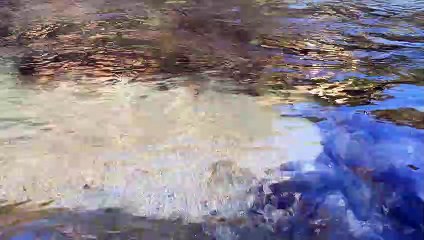 Relaxing Nature Sounds 024【Japan】