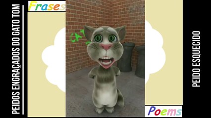 Peidos engraçados do gato tom: Peido esquecido, não se lembra que saiu! [Frases e Poemas]
