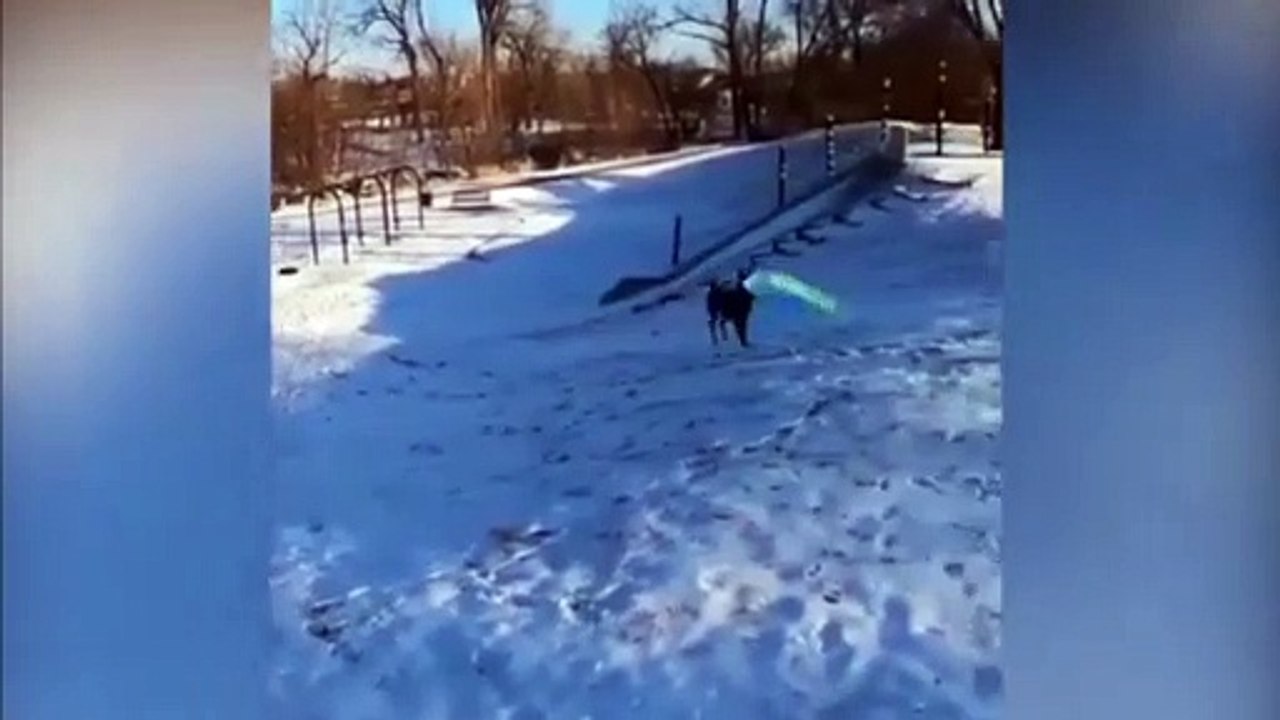 Dog takes itself for sledge ride in heartwarming footage seen 10million times