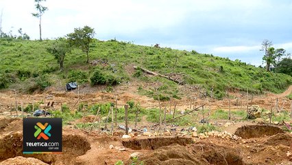 tn7-proyecto-diputada-mineria-cielo-abierto-040220