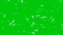 Green screen effects bunga liar
