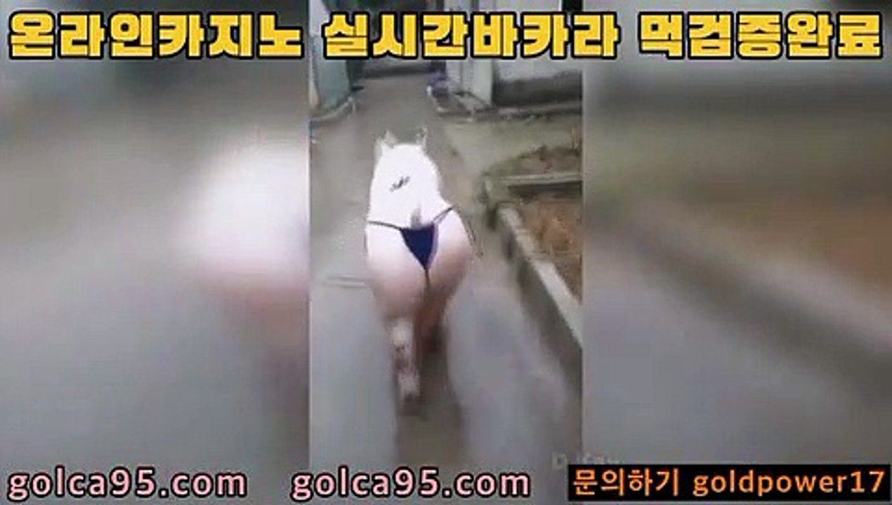 온라인카지노*****【￥ golca88。CoM ￥】*****온라인카지노