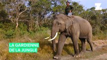 La première monteuse d'éléphants du Népal est également une éco-guerrière