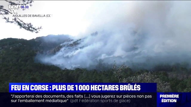 En Corse, plus de 1000 hectares de végétation brûlés dans un incendie