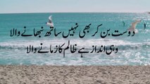 AHMAD FARAZ | Urdu Shayari | Urdu Ghazal | Ibn_e_Ata | Best Urdu Poetry  |احمد فرازؔ | अहमद फराज़