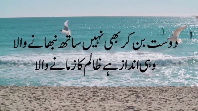 AHMAD FARAZ | Urdu Shayari | Urdu Ghazal | Ibn_e_Ata | Best Urdu Poetry |احمد فرازؔ | अहमद फराज़