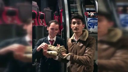 Yolcu otobüsünde yavru piton çıktı