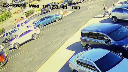 Un homme percuté par un cerf