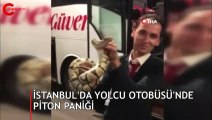 Yolcu otobüsünde valizden kaçan piton paniğe neden oldu