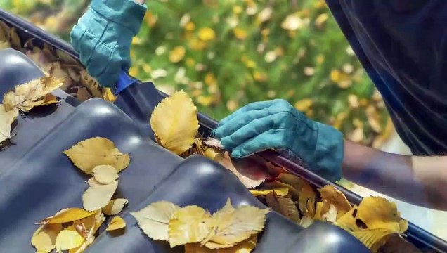 Ray’s Window Cleaning & Pressure Washing LLC - (803) 456-2722