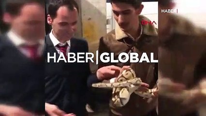 Yolcu otobüsünde piton paniği! Saklandığı yer şaşırttı