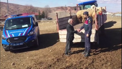 Çalınan 22 küçükbaş hayvandan 13’ü bulunup sahibine teslim edildi