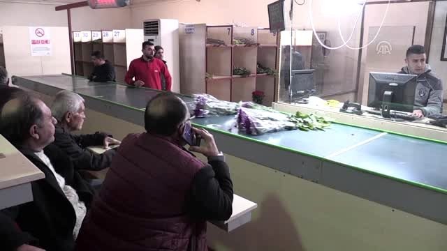 Çukurovalı çiçekçiler 14 Şubat'ta yarım milyon çiçek satmayı hedefliyor