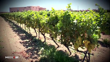 يوميات الفلاح - 05/02/2020