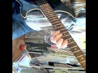 Reggae pour les mouches